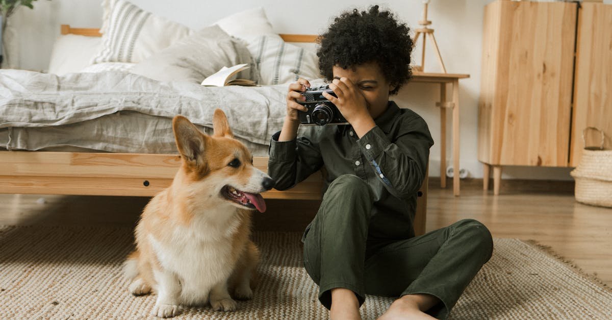 Child with camera and corgi in a cozy bedroom setting. Warm, relaxed atmosphere.